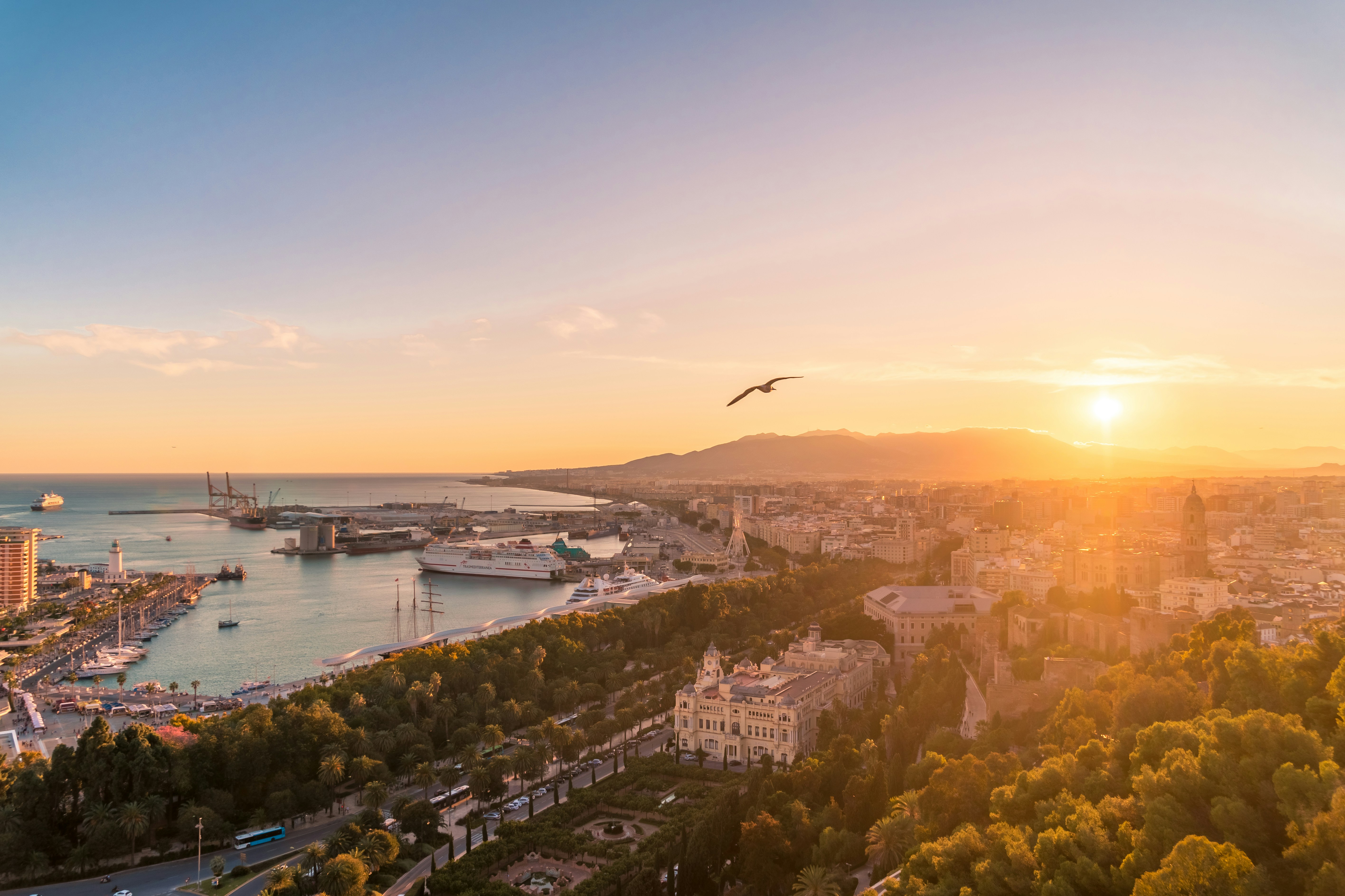 Sunsets, Love, and That One Perfect Date
